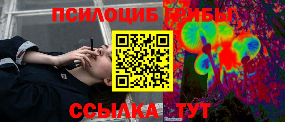Галлюциногенные грибы MAGIC MUSHROOMS Кизляр